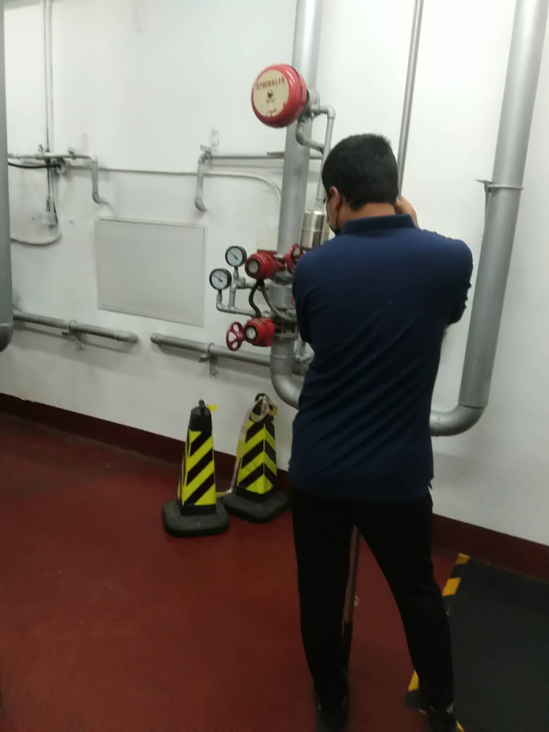 顺义草莓在线观看视频免费维保