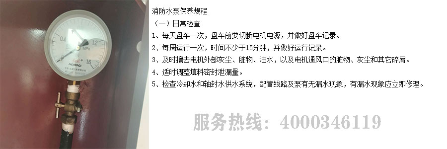 草莓在线观看视频免费维保