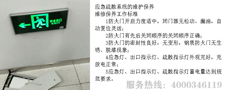 草莓在线观看视频免费维保