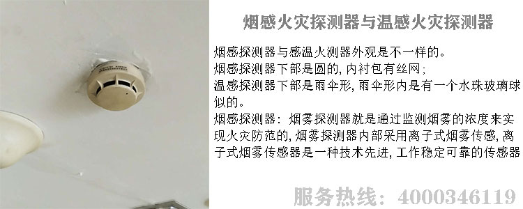 91草莓视频成人探测器